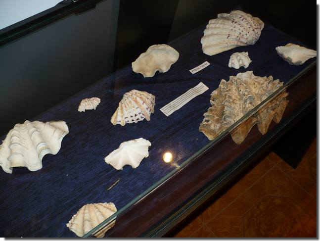 P1010730.jpg