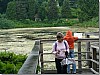 P1010707.jpg