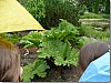 P1010711.jpg