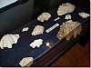 P1010730.jpg