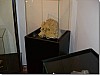 P1010741.jpg
