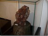 P1010742.jpg