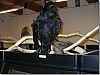 P1010751.jpg