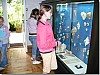 P1010753.jpg