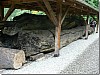 P1010762.jpg