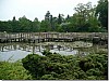 P1010764.jpg